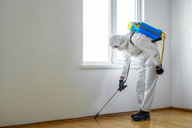 Real Estate Pest Inspections in Florala, AL